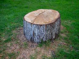 Best Firewood Processing and Delivery  in Graymoor Devondale, KY