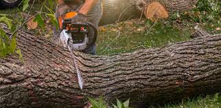 Best Lawn Mowing  in Graymoor Devondale, KY