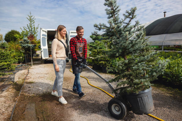 Best Tree Maintenance Programs  in Graymoor Devondale, KY