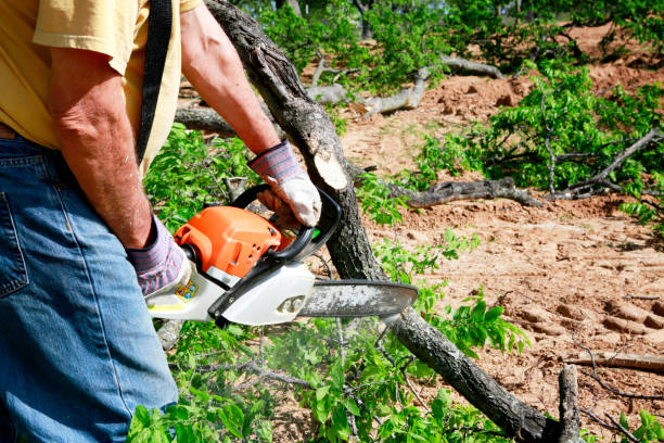 Best Tree Risk Assessment  in Graymoor Devondale, KY